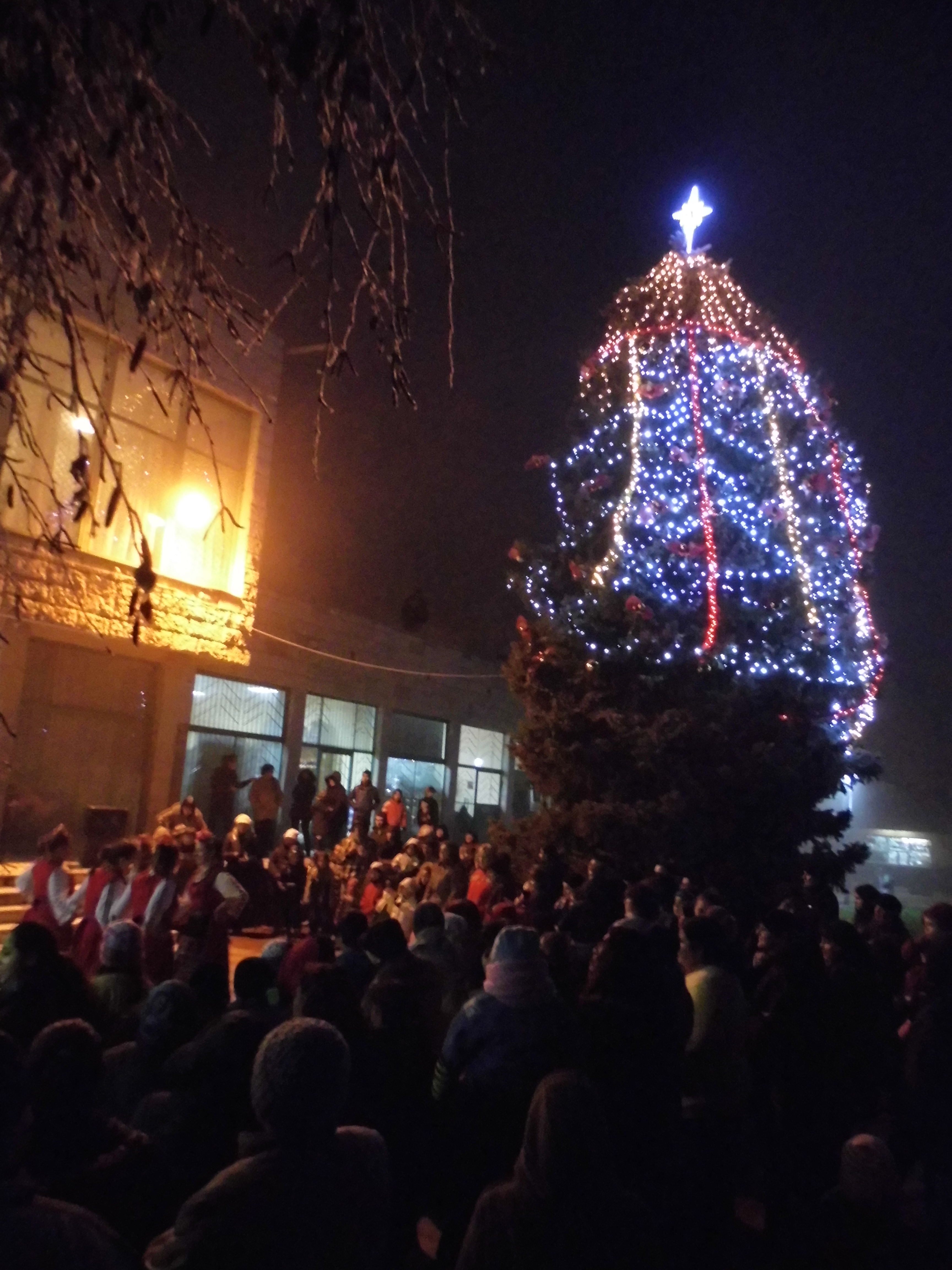 Коледната елха в центъра на Гулянци грейна в светлини