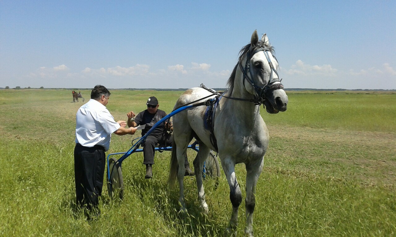 Панаирни дни Гулянци 2015